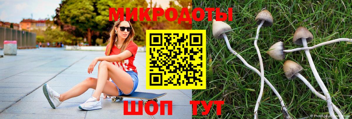 Псилоцибиновые грибы ЛСД  Вход с VPN  Черкесск 
